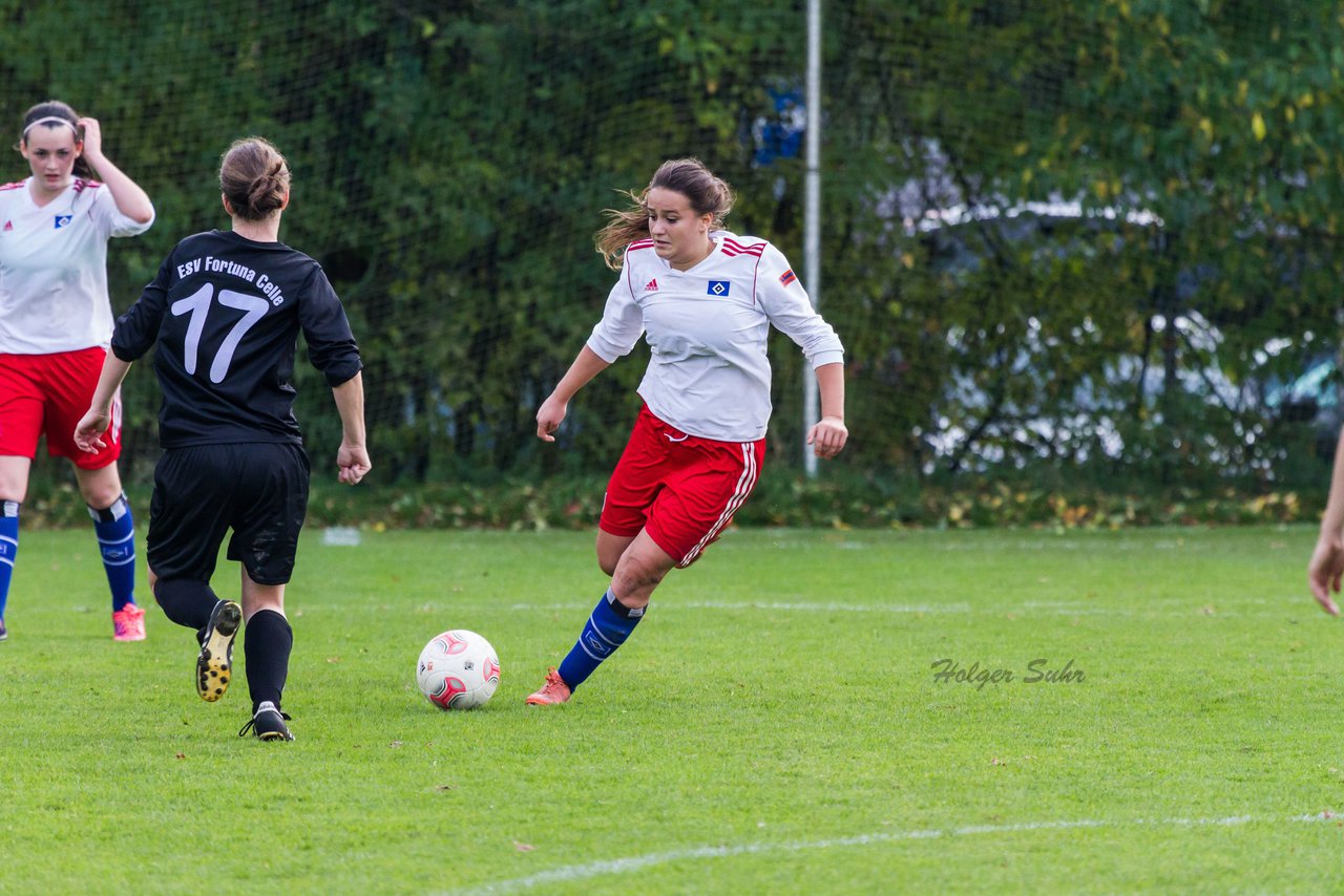 Bild 220 - Frauen Hamburger SV - ESV Fortuna Celle : Ergebnis: 1:1